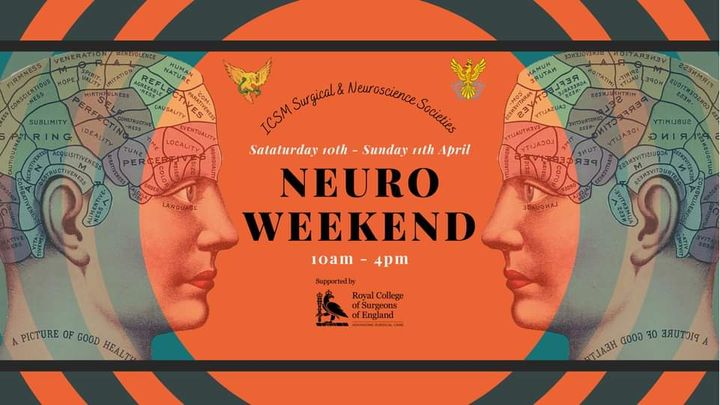 Read more about the article Neuroweekend