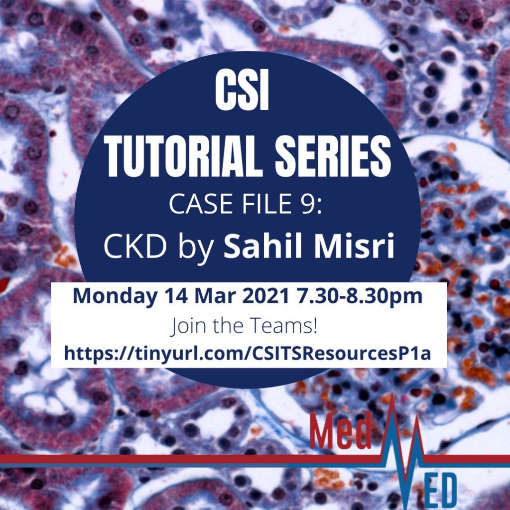 Read more about the article CKD by Sahil Misri