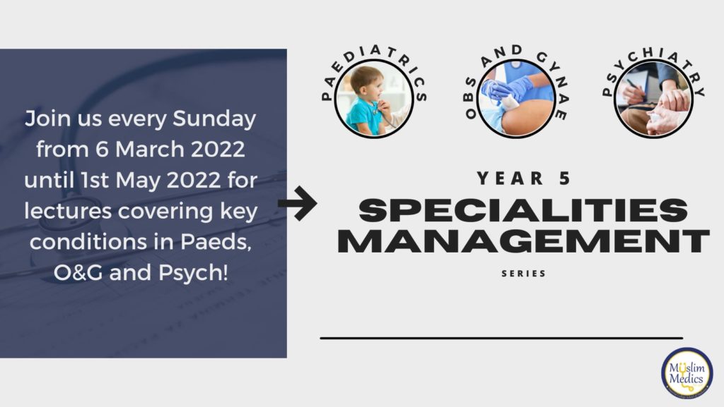 MM Specialties Management Series