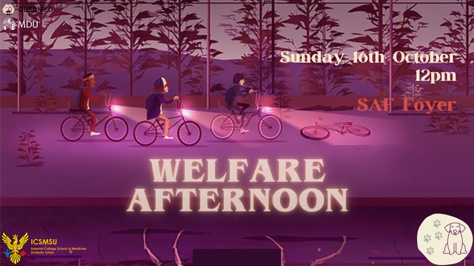 Read more about the article Welfare Afternoon